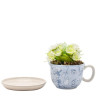 ALICE AUX PAYS DES MERVEILLES - Tasse Décorative + Fausse PlanteFIGDI2240_3.jpg5063322048513