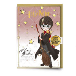 HARRY POTTER - Harry - Carte de Voeux avec Pin'sFIGEHPGC0490_3.jpg5055583452581