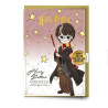 HARRY POTTER - Harry - Carte de Voeux avec Pin'sFIGEHPGC0490_3.jpg5055583452581