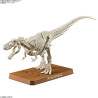 DINOSAUR - New Dinosaur Plastic Tyrannosaurus (Tentative) - Model KitFIGMK64262_3.jpg4573102642622