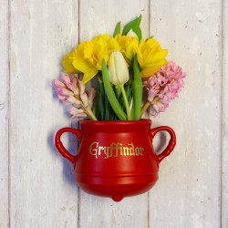 HARRY POTTER - Chaudron Gryffondor - Pot de fleur muralFIGWVHP08_4.jpg5055453484360