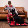 MINNIE - Collier pour Chien - SFIG2800000211_4.jpg8427934447695