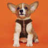 CHEWBACCA - Harnais pour Chien - XXS/XSFIG2800000259_4.jpg8427934448616