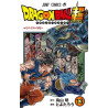 Dragon Ball Super - Tome 13DBS02137939_1.jpg9782344046432