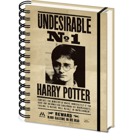 HARRY POTTER - Sirius & Harry - Notebook A5 3DFIGSR72657_1.gif5051265726575