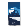 HARRY POTTER - Poudlard - Serviette de Plage 100% Polyester 70x140cmFIGAYM239HPBTM_1.png5407010070323