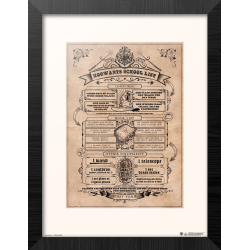 HARRY POTTER - Poudlard Liste Scolaire - Collector Print '30x40cm'FIGPE30X40CM0161_1.png8435497241780