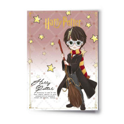 HARRY POTTER - Harry - Carte de Voeux avec Pin'sFIGEHPGC0490_1.jpg5055583452581
