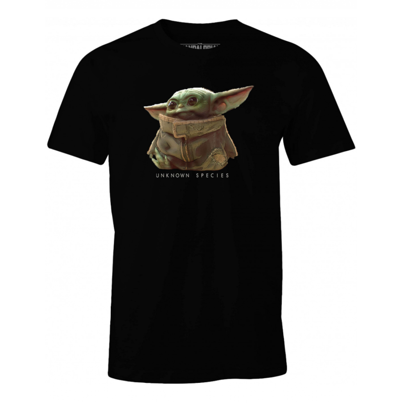 THE MANDALORIAN - Espëce inconnue - T-shirt homme (S)FIGMESWMANTS005_1.png3664794138171