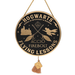 HARRY POTTER - Flying Lesson - Décoration MuraleFIGWB241_1.jpg5017224979550