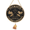 HARRY POTTER - Flying Lesson - Décoration MuraleFIGWB241_1.jpg5017224979550