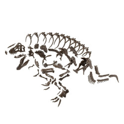 Bandai hobby fossile collection 1/32 dinosaure imaginary skeleton tyrannosaurus - dinosaure - préco mars 2025BANMK61800%204.jpg4