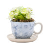 ALICE AUX PAYS DES MERVEILLES - Tasse Décorative + Fausse PlanteFIGDI2240_1.jpg5063322048513