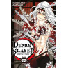 DEMON SLAYER - Tome 22TR04728886_1.jpeg9791039106863