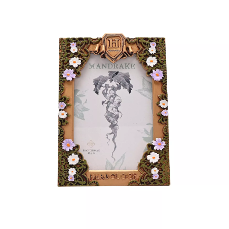 HARRY POTTER - Herbologie - Cadre Photo 3DWB358_1.png5063322074284
