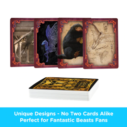 LES ANIMAUX FANTASTIQUES - Jeu de cartesFIGNMR52816_3.png840391157774