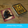LES ANIMAUX FANTASTIQUES - Jeu de cartesFIGNMR52816_5.png840391157774
