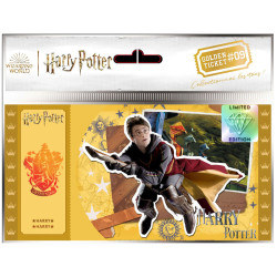 Golden ticket cartoon kingdom harry potter quidditch x5CKHP09.jpg3760375867666