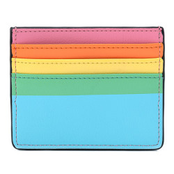 Porte carte loungefly pride rainbowLFLFWA0495%20B.jpg0671803316515