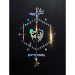 Poster letterpress arteonn harry potter artprint le portrait 30x40cm - préco mai 2025ART46133.gif3760385461335