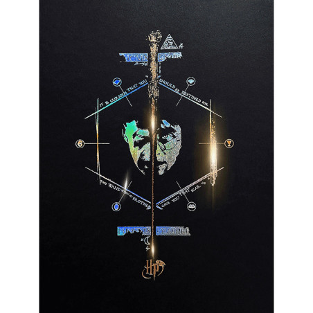 Poster letterpress arteonn harry potter artprint le portrait 30x40cm - préco mai 2025ART46133.gif3760385461335