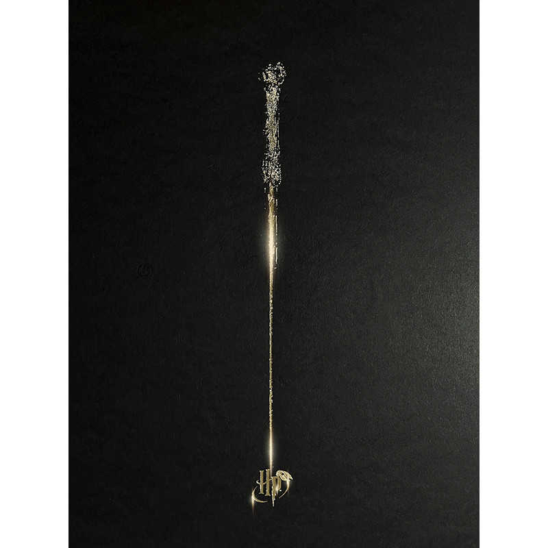 Poster letterpress arteonn harry potter artprint la baguette 30x40cm - préco mai 2025ART46134.gif3760385461342