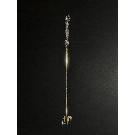 Poster letterpress arteonn harry potter artprint la baguette 30x40cm - préco mai 2025ART46134.gif3760385461342