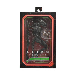 Figurine articulee neca alien romulus ultimate af scorched xenomorph 23cm - préco mai 2025NEC51741.jpg0634482517413