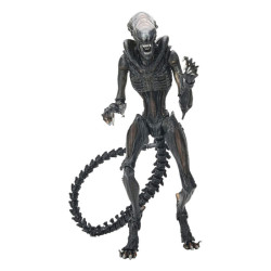 Figurine articulee neca alien romulus ultimate af scorched xenomorph 23cm - préco mai 2025NEC51741b.jpg0634482517413