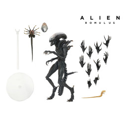 Figurine articulee neca alien romulus ultimate af scorched xenomorph 23cm - préco mai 2025NEC51741c.jpg0634482517413