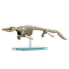 Dinosaure bandai hobby plastic model kit plannosaurus mosasaurus - préco juin 2025BANMK65321%203.jpg4573102653215