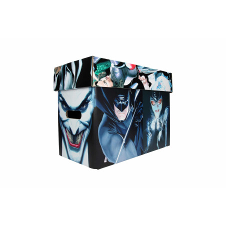 Boite / caisse sd toys dc universe collector box batman alex ross - préco juin 2025SD21750.JPG8435450217500