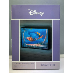 LILO & STITCH - Hamac - Canvas Lumineux 30x40 CmWDCL91846_3.jpg5050574124959