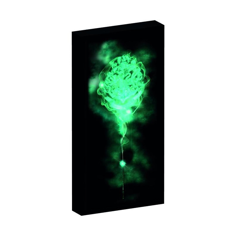 HARRY POTTER - Canvas avec 6 lumiëres LED 20X3X40cmFIGJT23898_1.jpg8052780428989