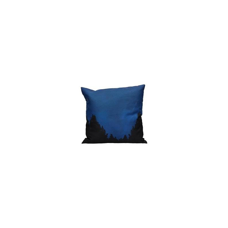 E.T. - Poster - Coussin '40x40x1cm'FIGSDTUNI24410_2.jpg8435450244100