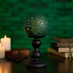 HARRY POTTER - Ministëre de la Magie - Lampe Décorative - 24cmFIGWB335_2.jpg5063322020502