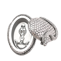 HARRY POTTER - Nagini - Boà®te à  Bijoux ArgentéFIGWB317_4.jpg5063322020410