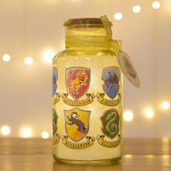 HARRY POTTER - Les 4 Maisons - Lantern Lumineuse - 16,5 cmFIGWB202_1.jpg5017224973572