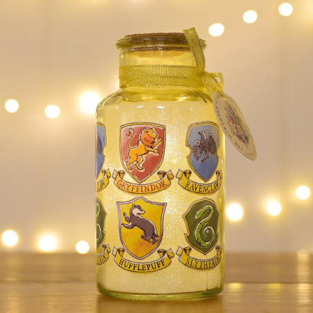 HARRY POTTER - Les 4 Maisons - Lantern Lumineuse - 16,5 cmFIGWB202_1.jpg5017224973572