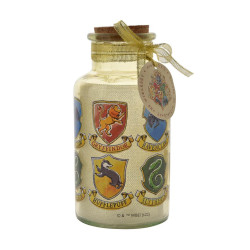HARRY POTTER - Les 4 Maisons - Lantern Lumineuse - 16,5 cmFIGWB202_3.jpg5017224973572