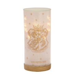 HARRY POTTER - Lumos - Tube Lumineux - 20 cmFIGWB294_3.jpg5017224998995