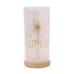 HARRY POTTER - Lumos - Tube Lumineux - 20 cmFIGWB294_4.jpg5017224998995
