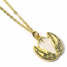 HARRY POTTER - Oeuf d'Or - Gift Box + CollierFIGHPEE0380_2.jpg5055583450259