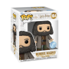 HARRY POTTER - POP Super NÂ° 164 - Hagrid avec LettreFIGFUN77381_2.png889698773812