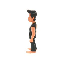 COBRA KAI - Miguel Diaz - Figurine Minix # 12cmFIGMX12ENTCBKMDZ_3.png8436605111841