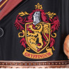 HARRY POTTER - Hermione - Chope Collectible 15.5cmFIGB6459X3_5.jpg801269151553
