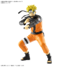 NARUTO - Entry Grade Uzumaki Naruto (3L) - Model KitFIGMK65566_2.png4573102655660