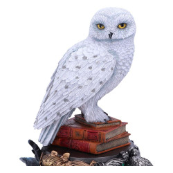 HARRY POTTER - Hedwige - Figurine 22cmFIGB6148W2_5.jpg801269148850