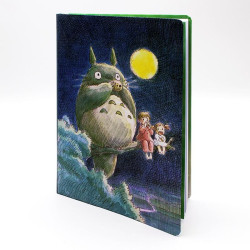 STUDIO GHIBLI - Mon voisin Totoro - Carnet de notes TotoroFIGCHRO18267_1.jpg9781452182674