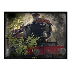 HARRY POTTER - Hogwarts Exp. - Puzzle lenticulaire 3D 500P '61x46cm'FIGRS263010_2.jpg670889325060